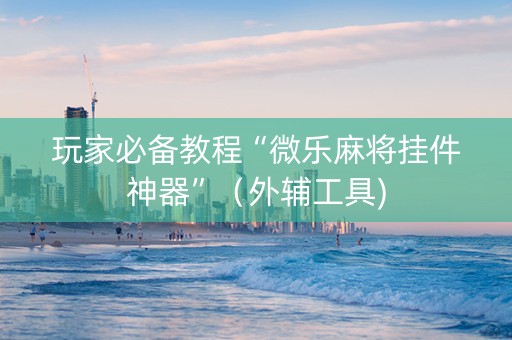 玩家必备教程“微乐麻将挂件神器”（外辅工具)