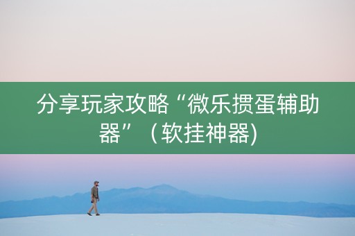 分享玩家攻略“微乐掼蛋辅助器”（软挂神器)