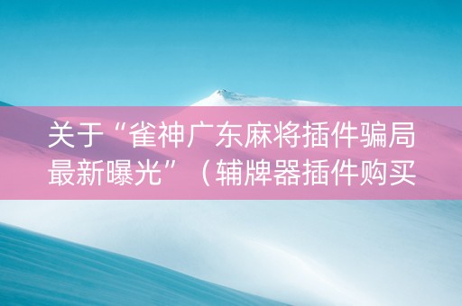 关于“雀神广东麻将插件骗局最新曝光”（辅牌器插件购买)