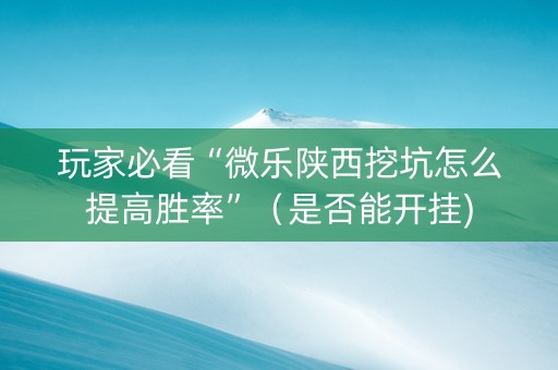 玩家必看“微乐陕西挖坑怎么提高胜率”（是否能开挂)