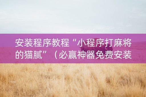 安装程序教程“小程序打麻将的猫腻”（必赢神器免费安装)