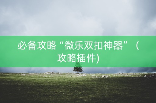 必备攻略“微乐双扣神器”（攻略插件)
