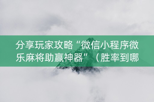 分享玩家攻略“微信小程序微乐麻将助赢神器”（胜率到哪调)