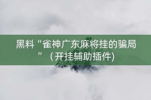 黑料“雀神广东麻将挂的骗局”（开挂辅助插件)