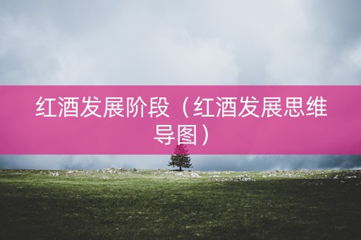红酒发展阶段（红酒发展思维导图）