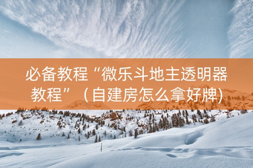 必备教程“微乐斗地主透明器教程”（自建房怎么拿好牌)
