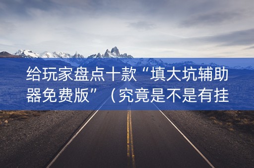 给玩家盘点十款“填大坑辅助器免费版”（究竟是不是有挂)
