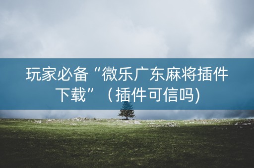 玩家必备“微乐广东麻将插件下载”（插件可信吗)