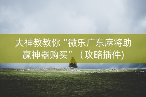 大神教教你“微乐广东麻将助赢神器购买”（攻略插件)