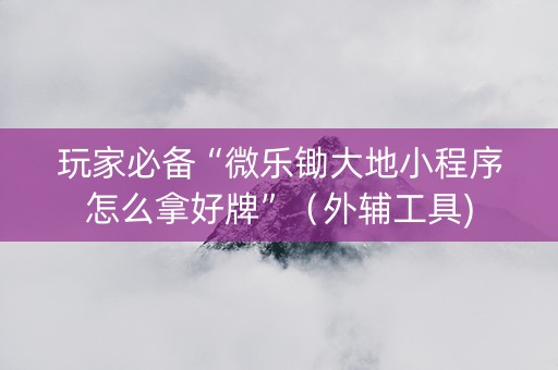 玩家必备“微乐锄大地小程序怎么拿好牌”（外辅工具)