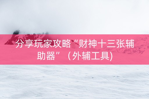 分享玩家攻略“财神十三张辅助器”（外辅工具)
