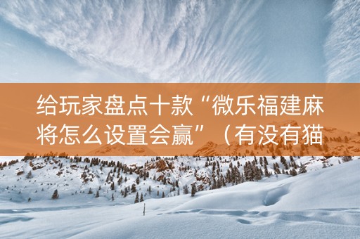 给玩家盘点十款“微乐福建麻将怎么设置会赢”（有没有猫腻)