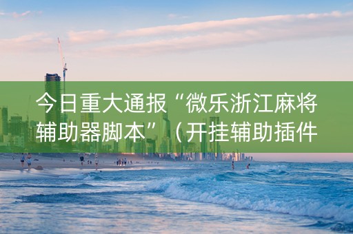 今日重大通报“微乐浙江麻将辅助器脚本”（开挂辅助插件)