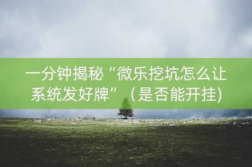 一分钟揭秘“微乐挖坑怎么让系统发好牌”（是否能开挂)