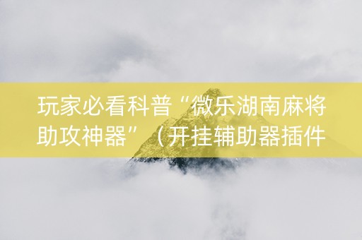 玩家必看科普“微乐湖南麻将助攻神器”（开挂辅助器插件)