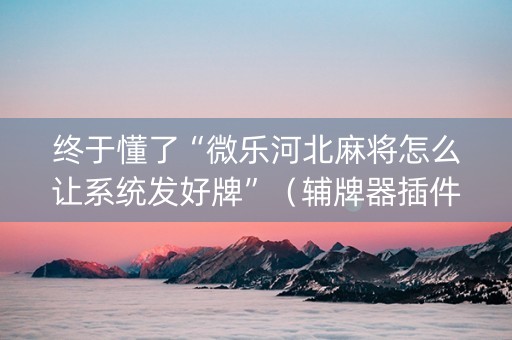 终于懂了“微乐河北麻将怎么让系统发好牌”（辅牌器插件购买)