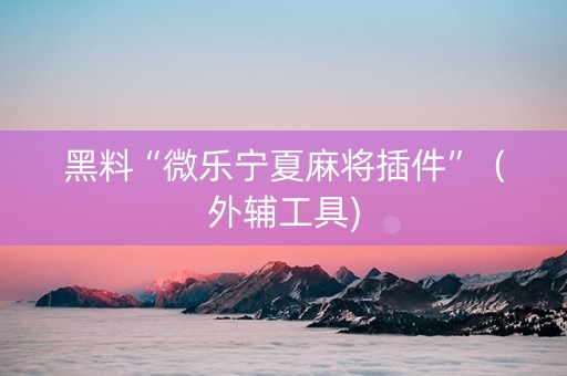 黑料“微乐宁夏麻将插件”（外辅工具)