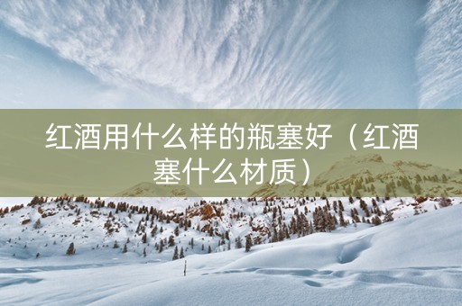 红酒用什么样的瓶塞好（红酒塞什么材质）