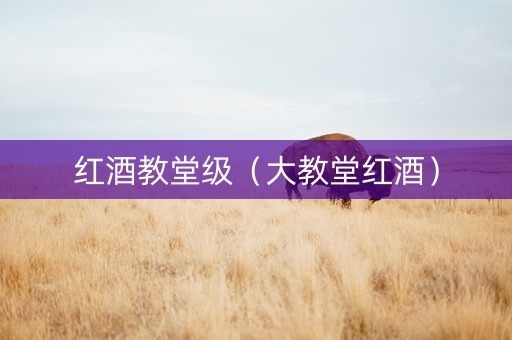 红酒教堂级（大教堂红酒）