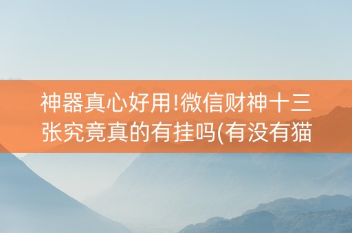 神器真心好用!微信财神十三张究竟真的有挂吗(有没有猫腻)