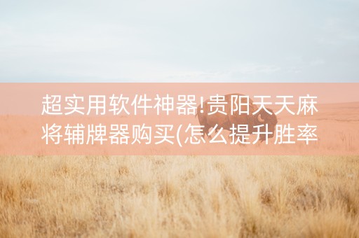 超实用软件神器!贵阳天天麻将辅牌器购买(怎么提升胜率)