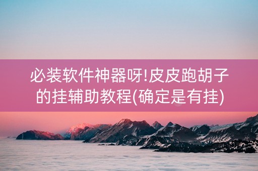 必装软件神器呀!皮皮跑胡子的挂辅助教程(确定是有挂)