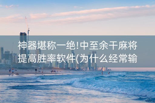 神器堪称一绝!中至余干麻将提高胜率软件(为什么经常输)