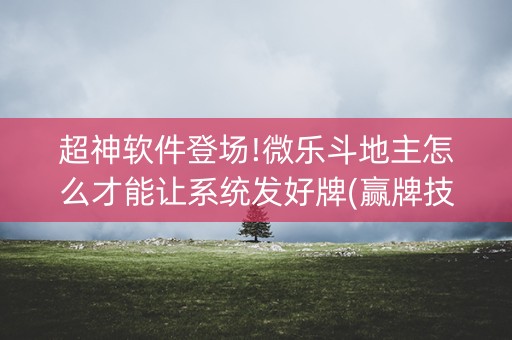 超神软件登场!微乐斗地主怎么才能让系统发好牌(赢牌技巧插件安装)