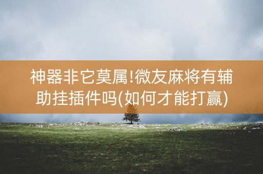 神器非它莫属!微友麻将有辅助挂插件吗(如何才能打赢)