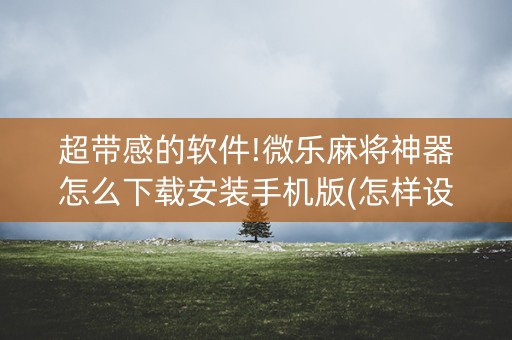 超带感的软件!微乐麻将神器怎么下载安装手机版(怎样设置好牌)
