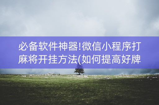 必备软件神器!微信小程序打麻将开挂方法(如何提高好牌几率)
