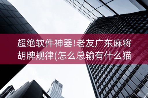 超绝软件神器!老友广东麻将胡牌规律(怎么总输有什么猫腻)
