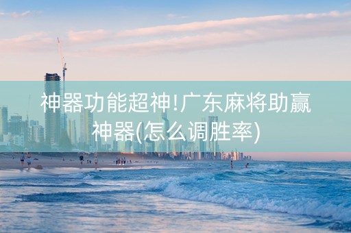 神器功能超神!广东麻将助赢神器(怎么调胜率)