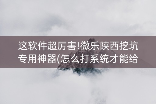 这软件超厉害!微乐陕西挖坑专用神器(怎么打系统才能给好牌)