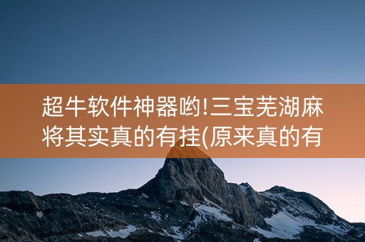 超牛软件神器哟!三宝芜湖麻将其实真的有挂(原来真的有挂)