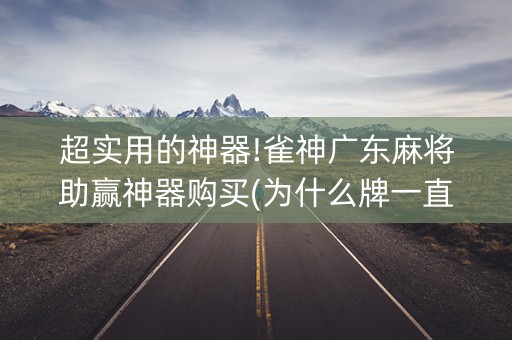 超实用的神器!雀神广东麻将助赢神器购买(为什么牌一直很差)