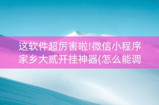 这软件超厉害啦!微信小程序家乡大贰开挂神器(怎么能调好牌)