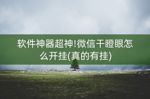 软件神器超神!微信干瞪眼怎么开挂(真的有挂)