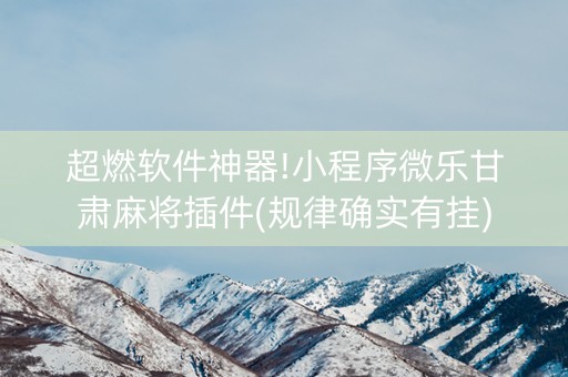 超燃软件神器!小程序微乐甘肃麻将插件(规律确实有挂)