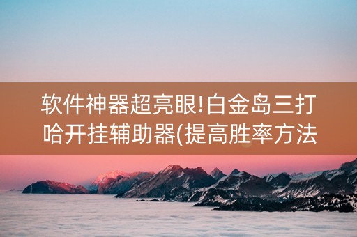 软件神器超亮眼!白金岛三打哈开挂辅助器(提高胜率方法)