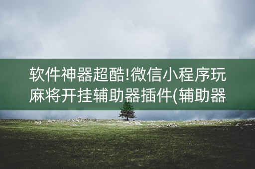 软件神器超酷!微信小程序玩麻将开挂辅助器插件(辅助器下载)