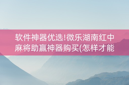 软件神器优选!微乐湖南红中麻将助赢神器购买(怎样才能有好牌)
