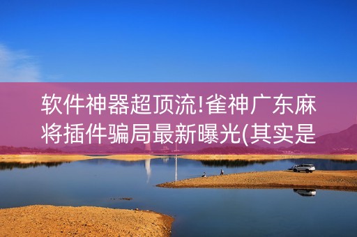 软件神器超顶流!雀神广东麻将插件骗局最新曝光(其实是有挂的)