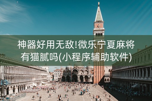 神器好用无敌!微乐宁夏麻将有猫腻吗(小程序辅助软件)