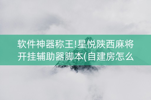 软件神器称王!星悦陕西麻将开挂辅助器脚本(自建房怎么拿好牌)