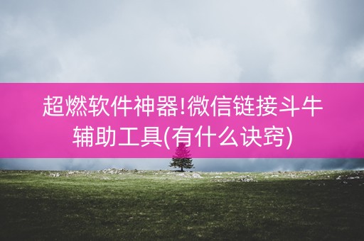 超燃软件神器!微信链接斗牛辅助工具(有什么诀窍)