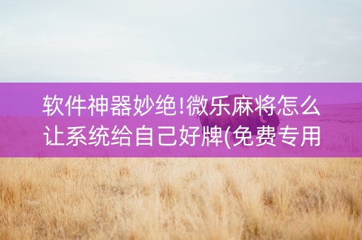 软件神器妙绝!微乐麻将怎么让系统给自己好牌(免费专用神器)