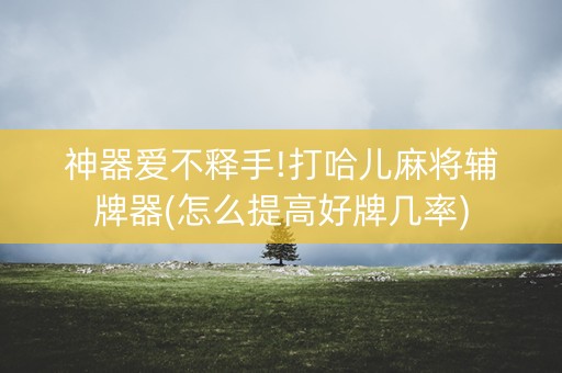 神器爱不释手!打哈儿麻将辅牌器(怎么提高好牌几率)
