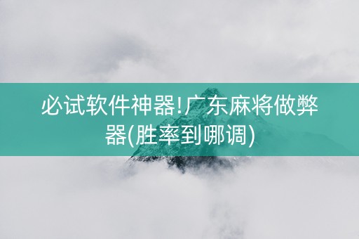 必试软件神器!广东麻将做弊器(胜率到哪调)