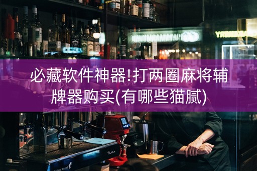 必藏软件神器!打两圈麻将辅牌器购买(有哪些猫腻)